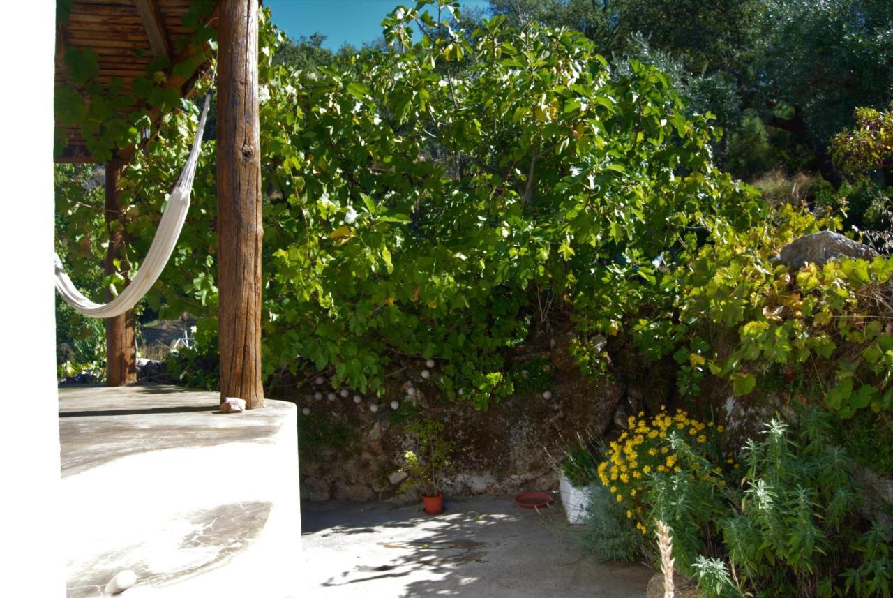 Terrafazbem Vila Marvão Exterior foto